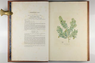 Nova Genera et Species plantarum quas in peregrinatione orbis novi collegerunt, descripserunt ... Tomus primus [-septimus]. Voyage de Humboldt et Bonpland. Sixième partie, botanique.