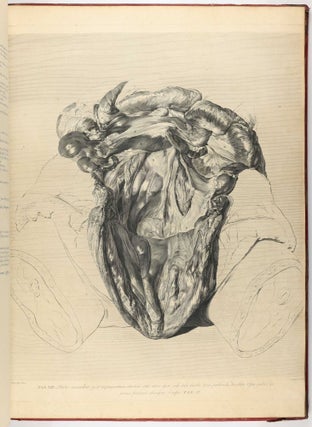 Anatomia uteri humani gravidi tabulis illustrata. The Anatomy of the Human Gravid Uterus exhibited in Figures.