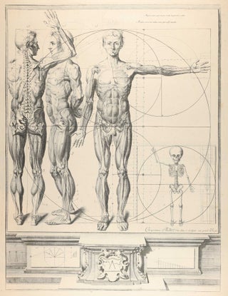 Item #003822 [Anatomical presentation of myology and osteology]. Crisostomo Alejandrino...
