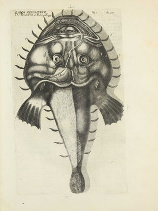 Exercitationes de differentiis & nominibus animalium, quibus accedunt mantissa anatomica et quaedam de variis fossilium generibus, deque differentiis & nominibus colorum. Editio secunda, duplo fere auctior priori, novisque iconibus ornata.