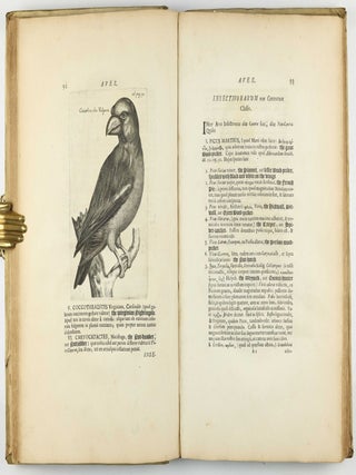 Exercitationes de differentiis & nominibus animalium, quibus accedunt mantissa anatomica et quaedam de variis fossilium generibus, deque differentiis & nominibus colorum. Editio secunda, duplo fere auctior priori, novisque iconibus ornata.