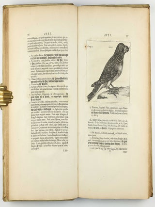 Exercitationes de differentiis & nominibus animalium, quibus accedunt mantissa anatomica et quaedam de variis fossilium generibus, deque differentiis & nominibus colorum. Editio secunda, duplo fere auctior priori, novisque iconibus ornata.