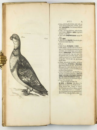 Exercitationes de differentiis & nominibus animalium, quibus accedunt mantissa anatomica et quaedam de variis fossilium generibus, deque differentiis & nominibus colorum. Editio secunda, duplo fere auctior priori, novisque iconibus ornata.