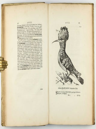Exercitationes de differentiis & nominibus animalium, quibus accedunt mantissa anatomica et quaedam de variis fossilium generibus, deque differentiis & nominibus colorum. Editio secunda, duplo fere auctior priori, novisque iconibus ornata.