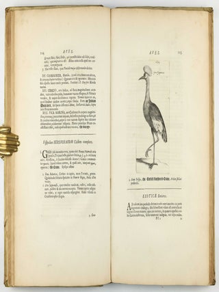 Exercitationes de differentiis & nominibus animalium, quibus accedunt mantissa anatomica et quaedam de variis fossilium generibus, deque differentiis & nominibus colorum. Editio secunda, duplo fere auctior priori, novisque iconibus ornata.