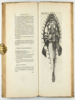 Exercitationes de differentiis & nominibus animalium, quibus accedunt mantissa anatomica et quaedam de variis fossilium generibus, deque differentiis & nominibus colorum. Editio secunda, duplo fere auctior priori, novisque iconibus ornata.