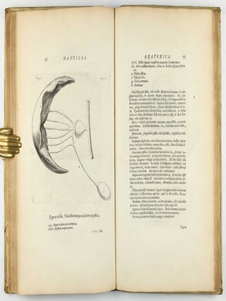 Exercitationes de differentiis & nominibus animalium, quibus accedunt mantissa anatomica et quaedam de variis fossilium generibus, deque differentiis & nominibus colorum. Editio secunda, duplo fere auctior priori, novisque iconibus ornata.