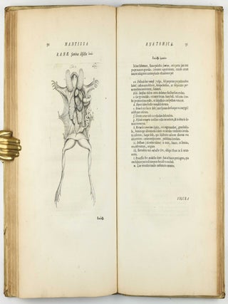 Exercitationes de differentiis & nominibus animalium, quibus accedunt mantissa anatomica et quaedam de variis fossilium generibus, deque differentiis & nominibus colorum. Editio secunda, duplo fere auctior priori, novisque iconibus ornata.