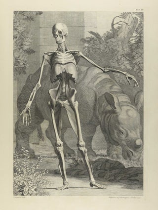 Item #003841 Tables of the Skeleton and Muscles of the Human Body. Translated from the Latin / A...