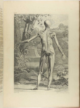 Tables of the Skeleton and Muscles of the Human Body. Translated from the Latin / A Compleat System of the Blood-Vessels and Nerves.