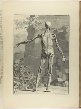 Tables of the Skeleton and Muscles of the Human Body. Translated from the Latin / A Compleat System of the Blood-Vessels and Nerves.