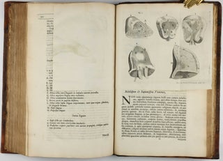 Opera omnia : figuris elegantissimis in æs incisis illustrata.