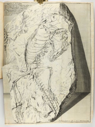 Opera philosophica et mineralia. Volumes I-III (all published).