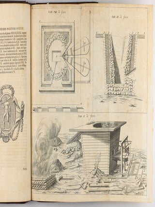 Opera philosophica et mineralia. Volumes I-III (all published).