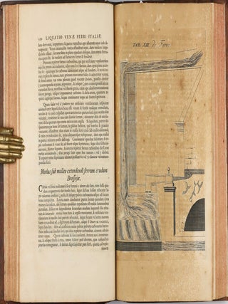 Opera philosophica et mineralia. Volumes I-III (all published).