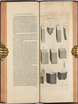 Opera philosophica et mineralia. Volumes I-III (all published).