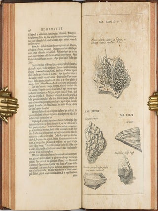Opera philosophica et mineralia. Volumes I-III (all published).