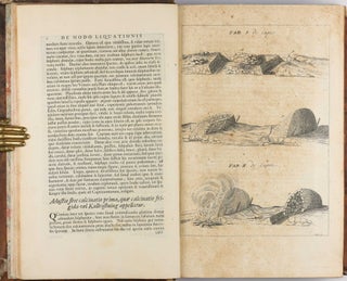 Opera philosophica et mineralia. Volumes I-III (all published).