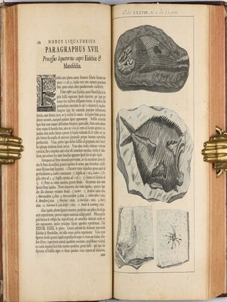 Opera philosophica et mineralia. Volumes I-III (all published).