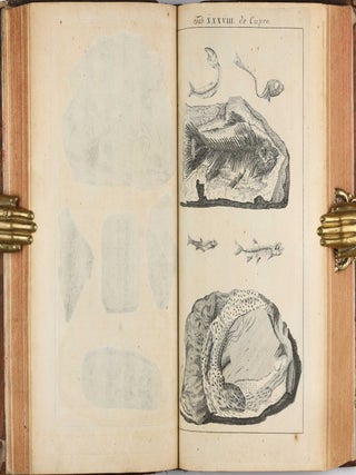 Opera philosophica et mineralia. Volumes I-III (all published).