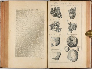 Opera philosophica et mineralia. Volumes I-III (all published).