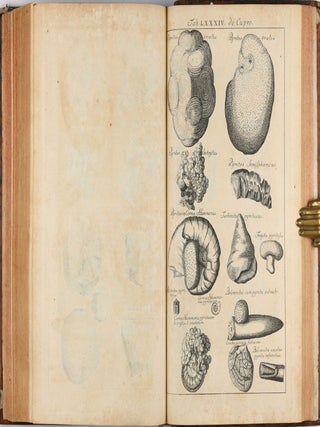 Opera philosophica et mineralia. Volumes I-III (all published).