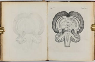 De anima brutorum, quae hominis vitalis ac sensitiva est, exercitationes duae.