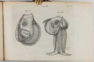 De anima brutorum, quae hominis vitalis ac sensitiva est, exercitationes duae.