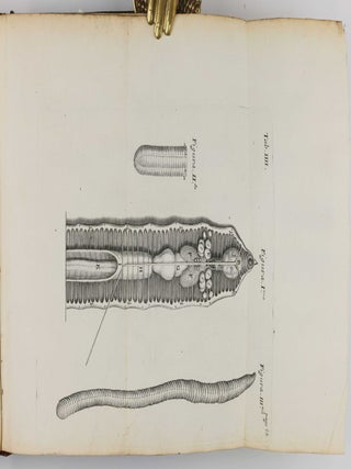 De anima brutorum, quae hominis vitalis ac sensitiva est, exercitationes duae.