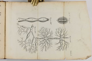 De anima brutorum, quae hominis vitalis ac sensitiva est, exercitationes duae.