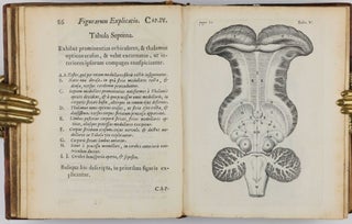 De anima brutorum, quae hominis vitalis ac sensitiva est, exercitationes duae.