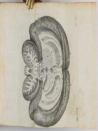 De anima brutorum, quae hominis vitalis ac sensitiva est, exercitationes duae.