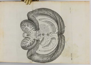 De anima brutorum, quae hominis vitalis ac sensitiva est, exercitationes duae.