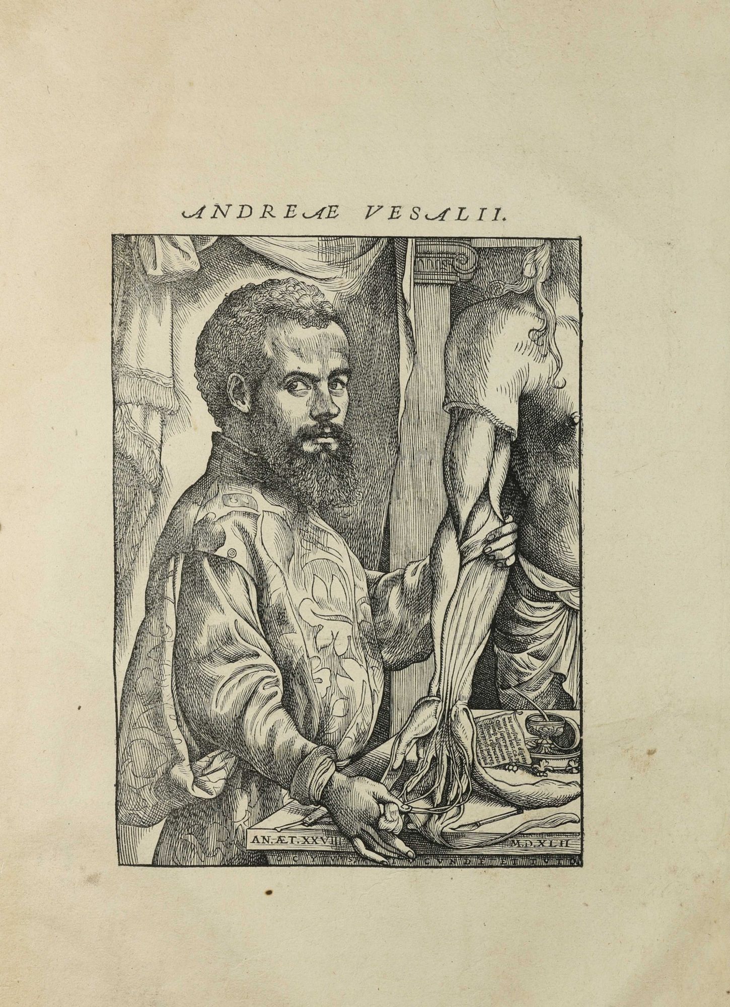 Humani De humani corporis fabrica libri septem | Andreas VESALIUS | 1st Edition