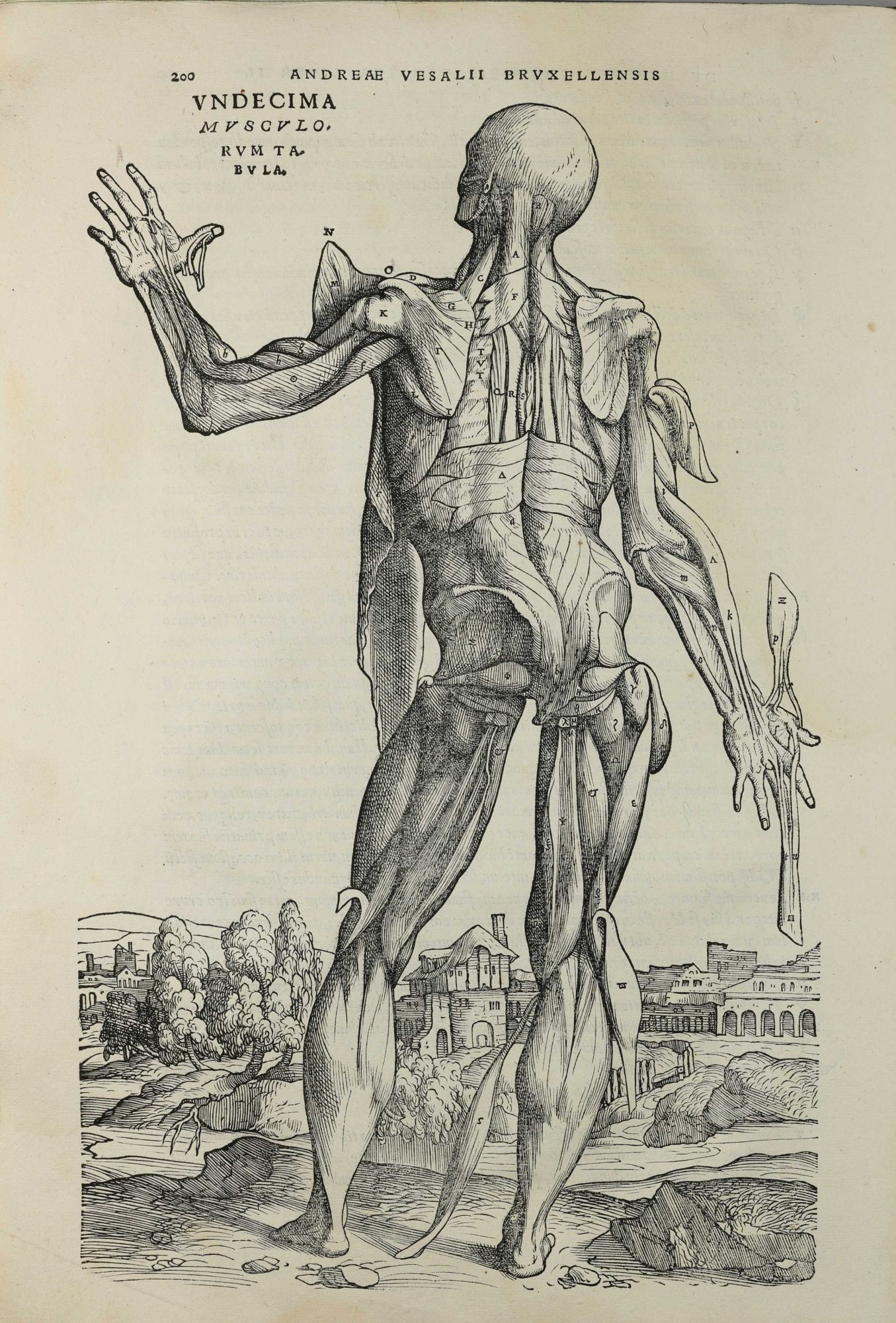 Humani De humani corporis fabrica libri septem | Andreas VESALIUS | 1st Edition