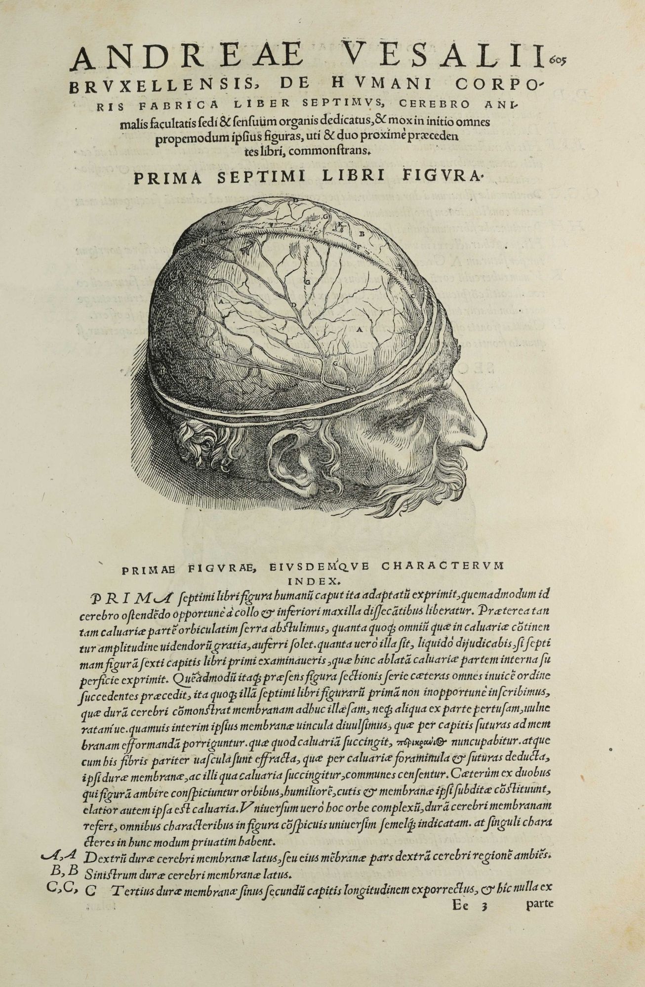 Humani De humani corporis fabrica libri septem | Andreas VESALIUS | 1st Edition