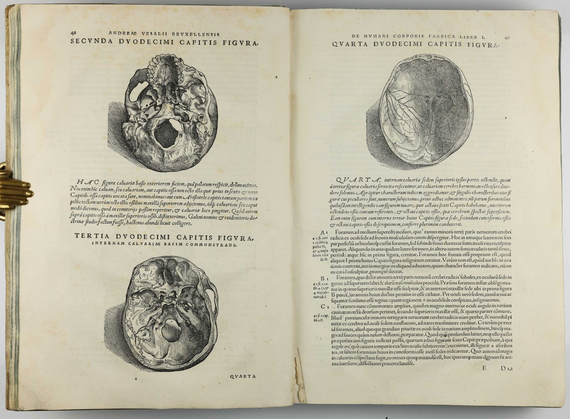Humani De humani corporis fabrica libri septem | Andreas VESALIUS | 1st Edition