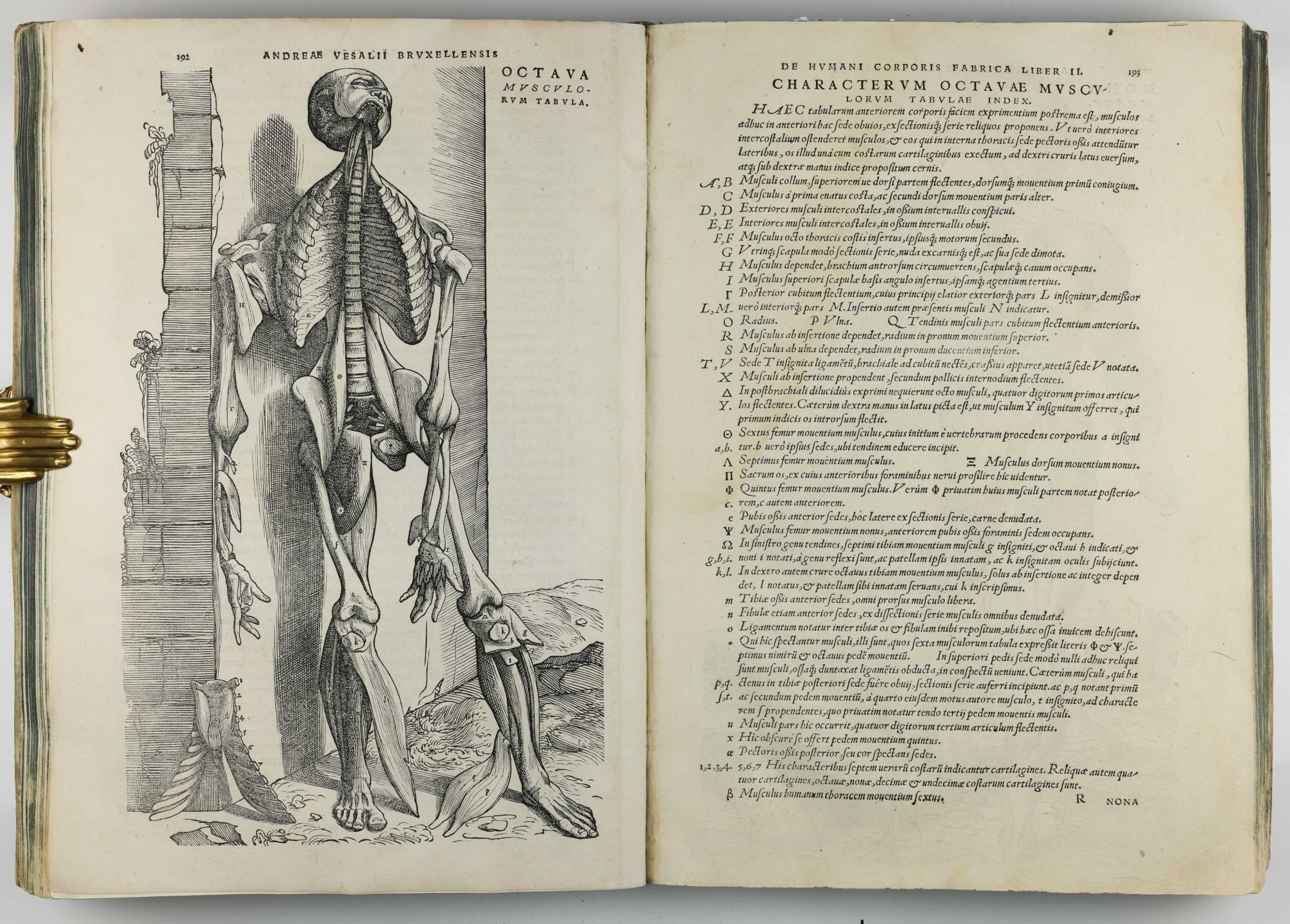 Humani De humani corporis fabrica libri septem | Andreas VESALIUS | 1st Edition