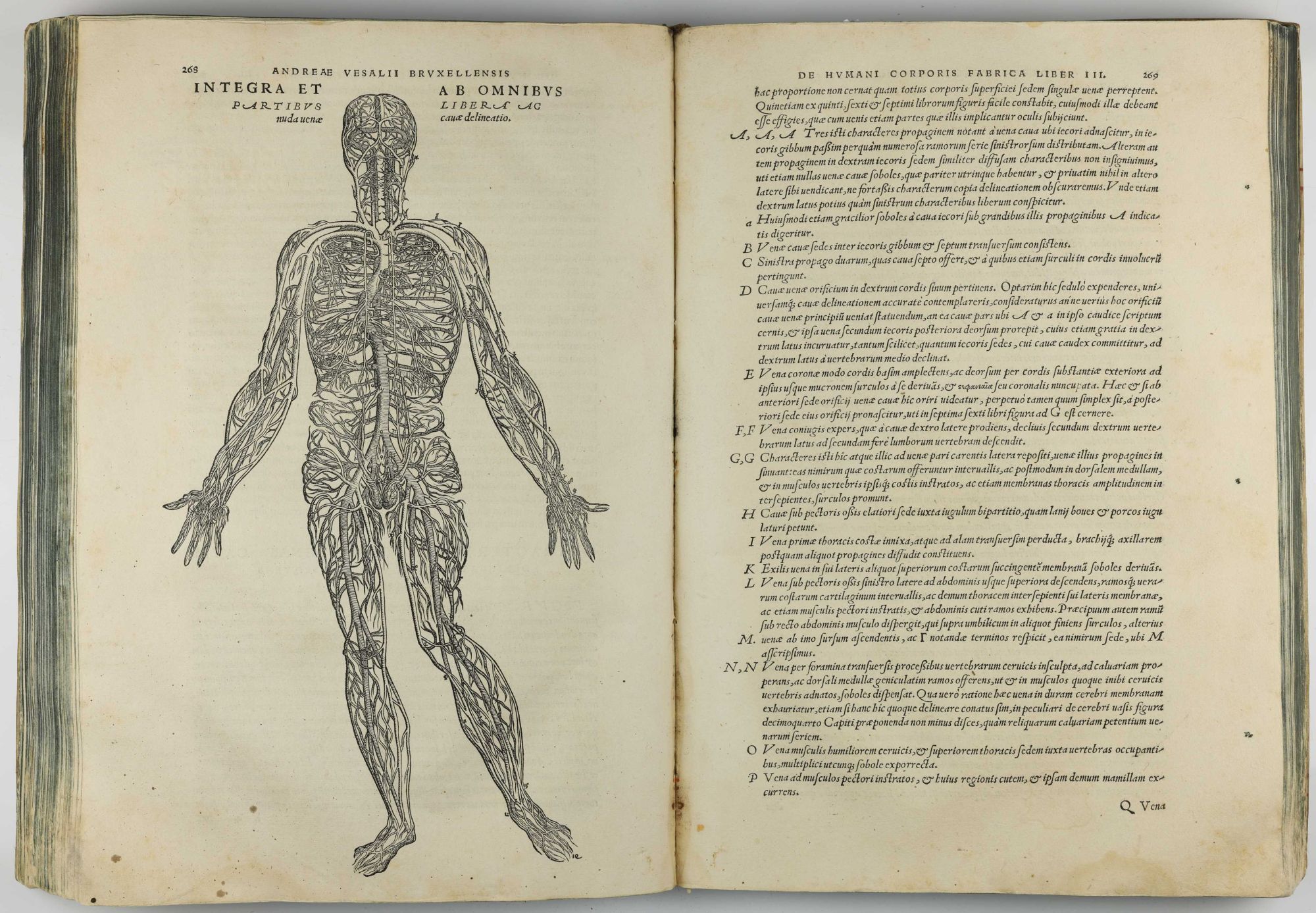 Humani De humani corporis fabrica libri septem | Andreas VESALIUS | 1st Edition
