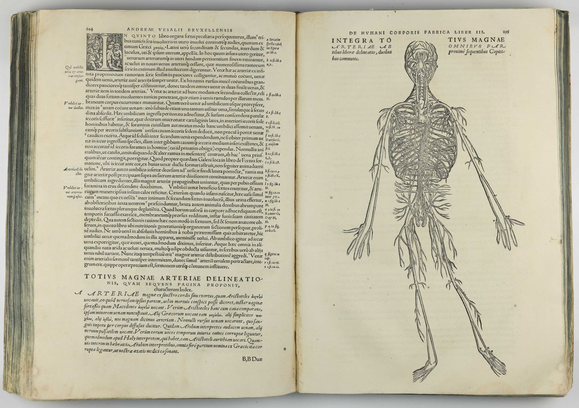 Humani De humani corporis fabrica libri septem | Andreas VESALIUS | 1st Edition