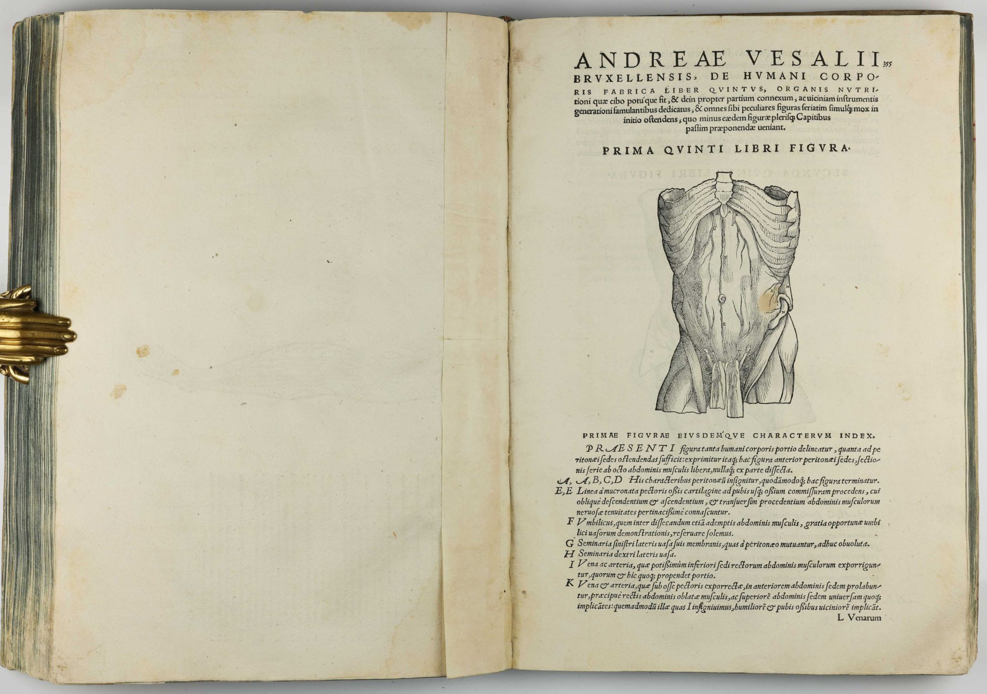 Humani De humani corporis fabrica libri septem | Andreas VESALIUS | 1st Edition