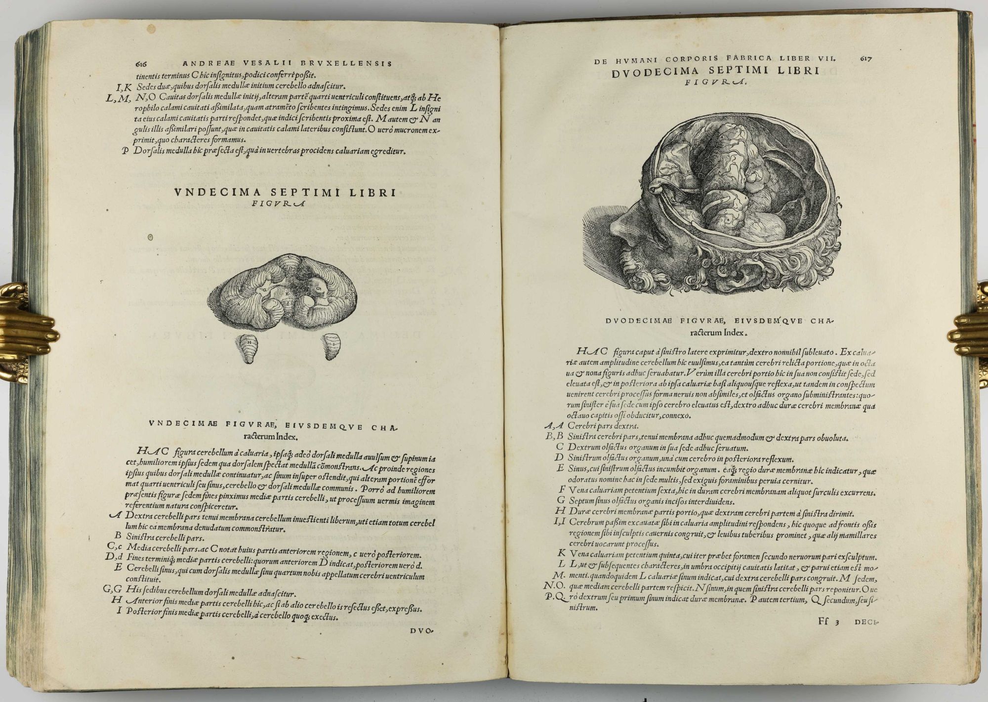 Humani De humani corporis fabrica libri septem | Andreas VESALIUS | 1st Edition