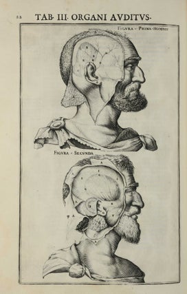 De Vocis Auditusque Organis Historia Anatomica. Tractatibus Duobus Explicata ac Variis Iconibus Aere Excusis Illustrata.