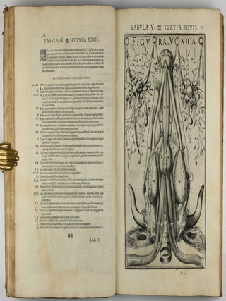 De Vocis Auditusque Organis Historia Anatomica. Tractatibus Duobus Explicata ac Variis Iconibus Aere Excusis Illustrata.