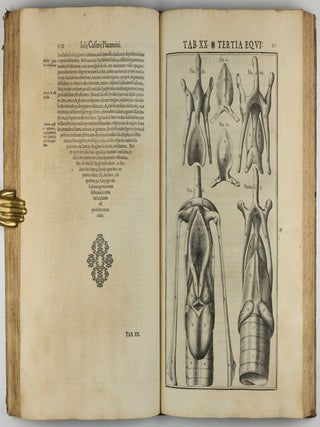 De Vocis Auditusque Organis Historia Anatomica. Tractatibus Duobus Explicata ac Variis Iconibus Aere Excusis Illustrata.