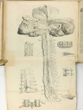 The Anatomy of Human Bodies, with Figures Drawn after the Life ... revised and publish'd by C. B. Albinus.