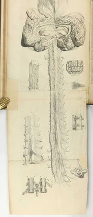The Anatomy of Human Bodies, with Figures Drawn after the Life ... revised and publish'd by C. B. Albinus.