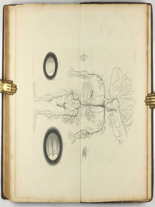The Anatomy of Human Bodies, with Figures Drawn after the Life ... revised and publish'd by C. B. Albinus.