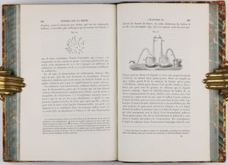 Études sur la Bière, ses Maladies, causes qui les provoquent procédé pour la rendre inaltérable, avec une Théorie nouvelle de la Fermentation.