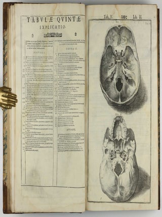 Tabulae anatomicae LXXIIX / De humani corporis fabrica libri decem. Edited by Daniel Bucretius / De formato foetu.